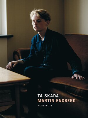 cover image of Ta skada
